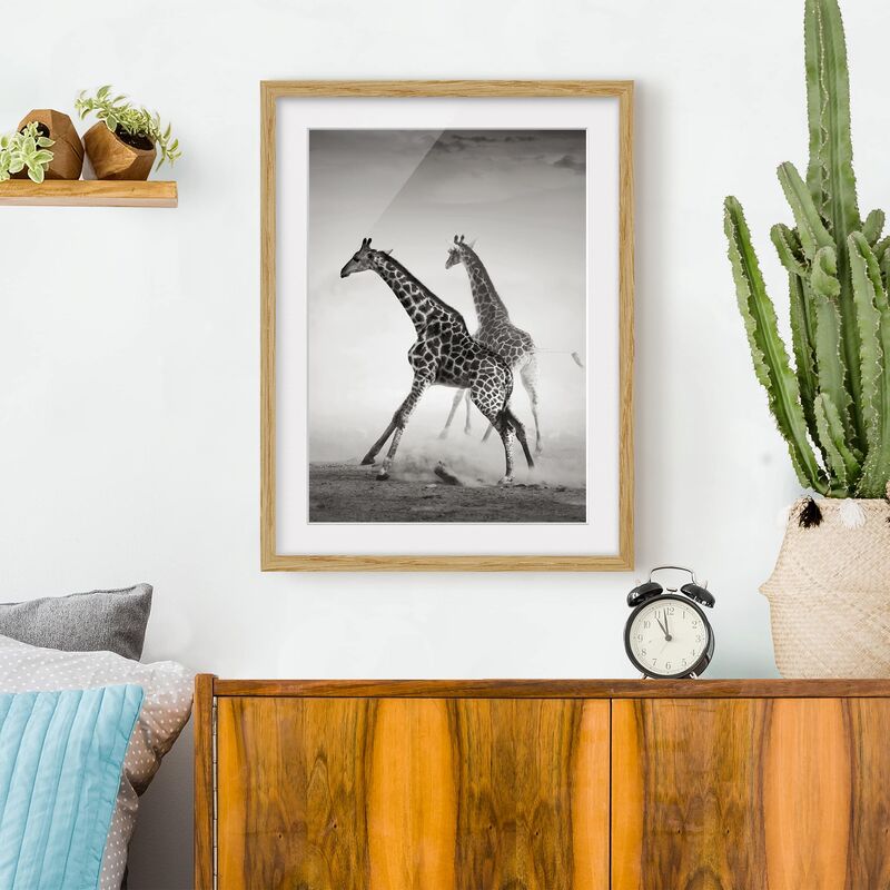 

Póster enmarcado - Giraffe Hunting Dimensión LxA: 100cm x 70cm, Marco: Roble