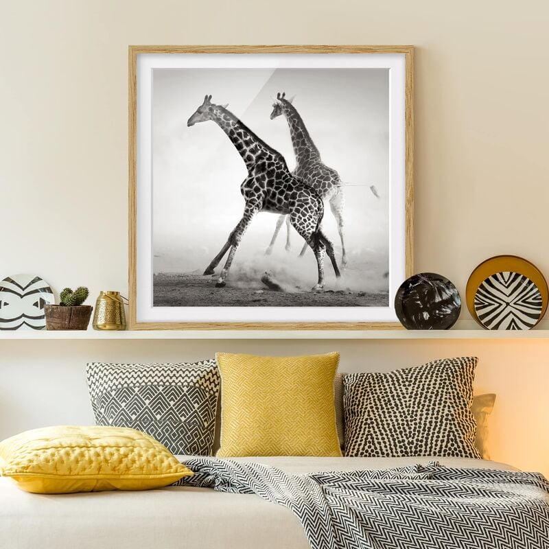 

Póster enmarcado - Giraffe Hunting Dimensión LxA: 50cm x 50cm, Marco: Roble