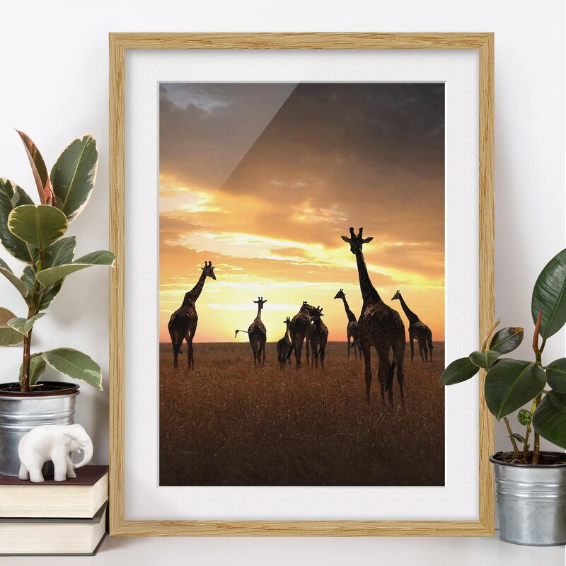 

Póster enmarcado - Giraffe Family Dimensión LxA: 40cm x 30cm, Marco: Roble