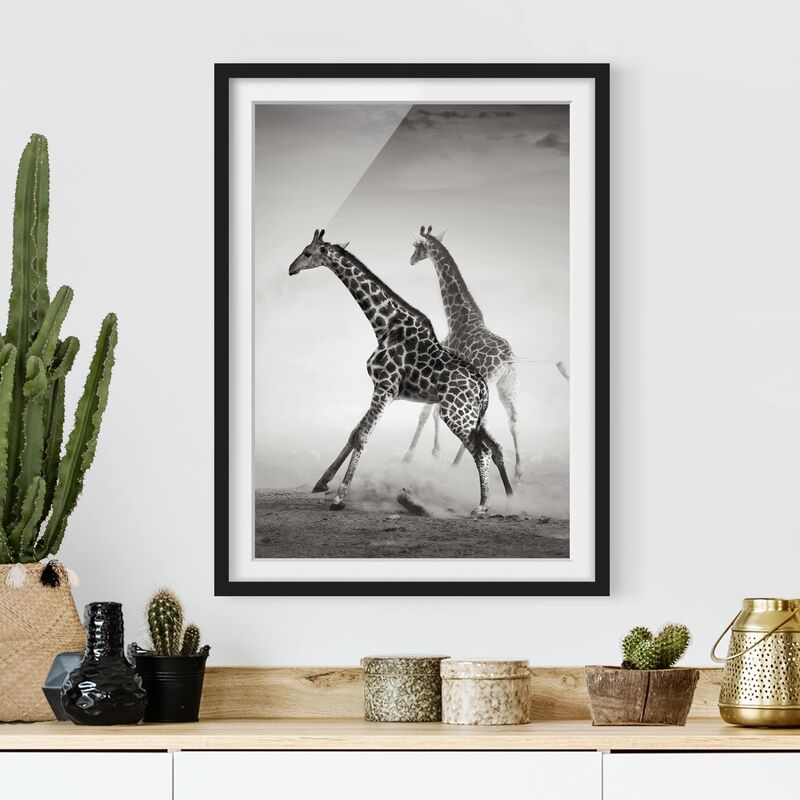 

Póster enmarcado - Giraffe Hunting Dimensión LxA: 24cm x 18cm, Marco: Negro