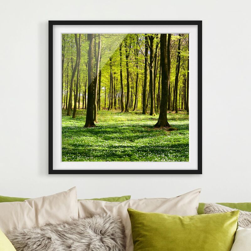 

Póster enmarcado - Glade Dimensión LxA: 50cm x 50cm, Marco: Negro