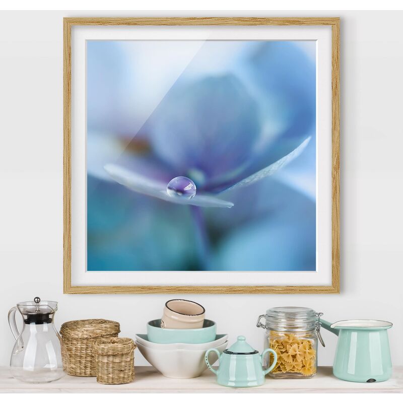 

Póster enmarcado - Gocce Ortensie Dimensión LxA: 30cm x 30cm, Marco: Roble