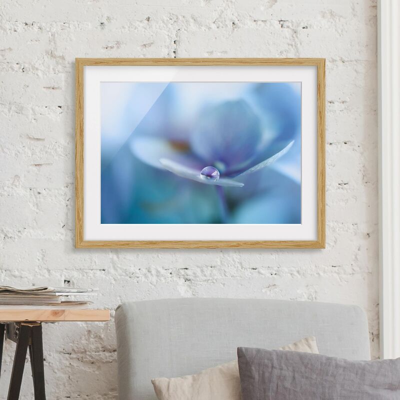 

Póster enmarcado - Gocce Ortensie Dimensión LxA: 30cm x 40cm, Marco: Roble