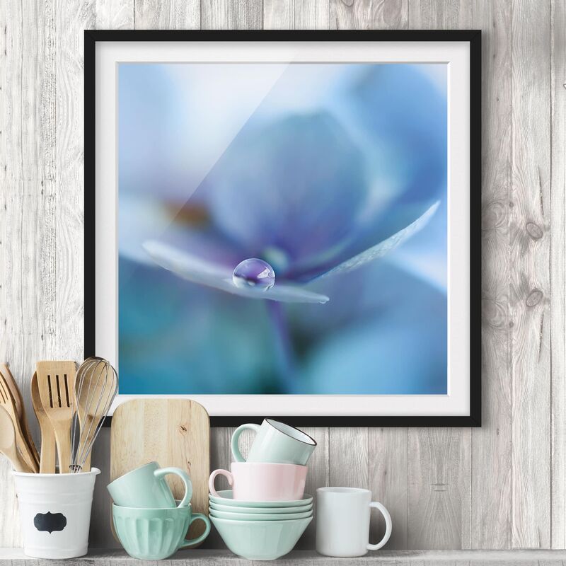 

Póster enmarcado - Gocce Ortensie Dimensión LxA: 70cm x 70cm, Marco: Negro