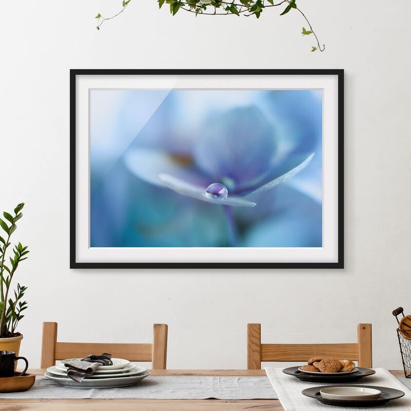 

Póster enmarcado - Gocce Ortensie Dimensión LxA: 70cm x 100cm, Marco: Negro