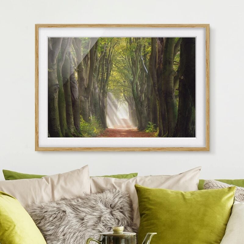

Póster enmarcado - Glorious Day In The Forest Dimensión LxA: 18cm x 24cm, Marco: Roble