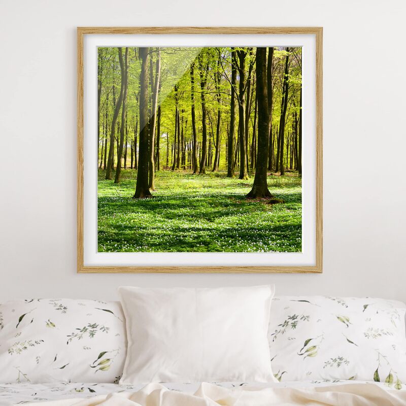 

Póster enmarcado - Glade Dimensión LxA: 20cm x 20cm, Marco: Roble