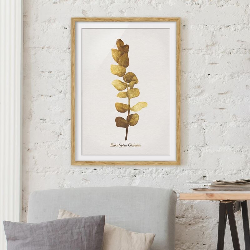 

Póster enmarcado - Gold - Eucalyptus Dimensión LxA: 55cm x 40cm, Marco: Roble