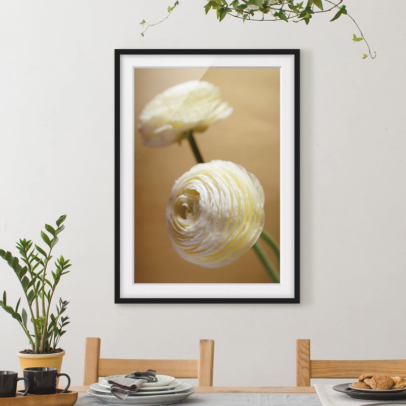 

Póster enmarcado - Golden Buttercup Dimensión LxA: 55cm x 40cm, Marco: Negro