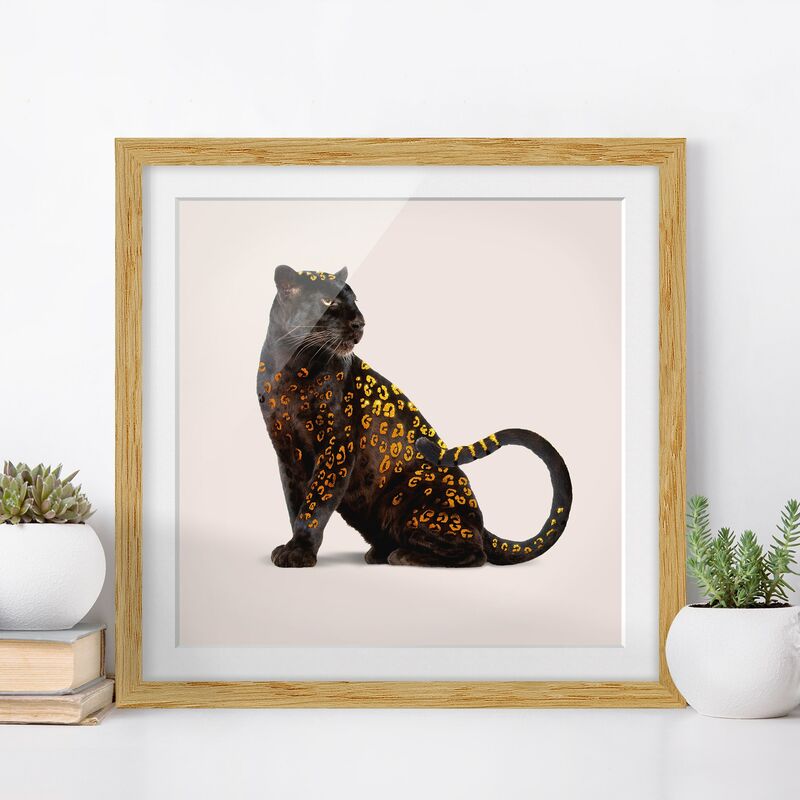 

Póster enmarcado - Panthers d'oro Dimensión LxA: 70cm x 70cm, Marco: Roble