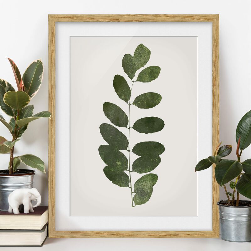 

Póster enmarcado - Mondo vegetale grafico - Verde scuro Dimensión LxA: 100cm x 70cm, Marco: Roble