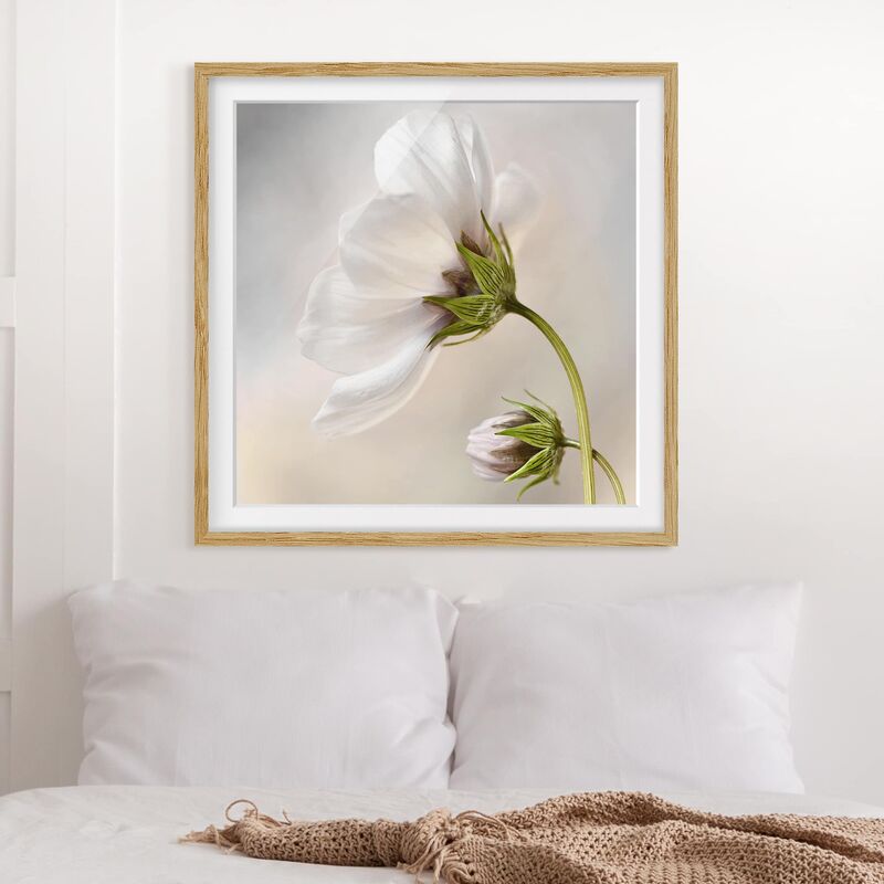 

Póster enmarcado - Heavenly Blossom Dream Dimensión LxA: 30cm x 30cm, Marco: Roble