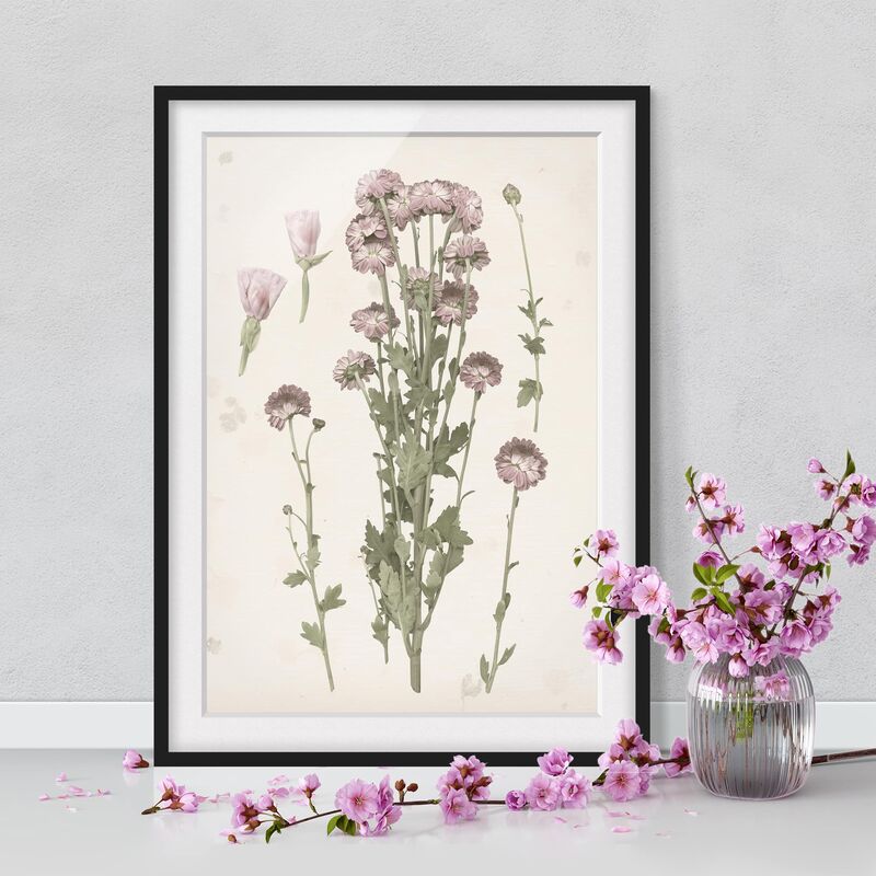 

Póster enmarcado - Herbarium In I Rosa Dimensión LxA: 70cm x 50cm, Marco: Negro