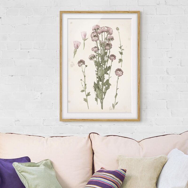 

Póster enmarcado - Herbarium In I Rosa Dimensión LxA: 70cm x 50cm, Marco: Roble