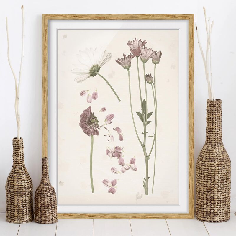

Póster enmarcado - Herbarium In Rosa Ii Dimensión LxA: 24cm x 18cm, Marco: Roble