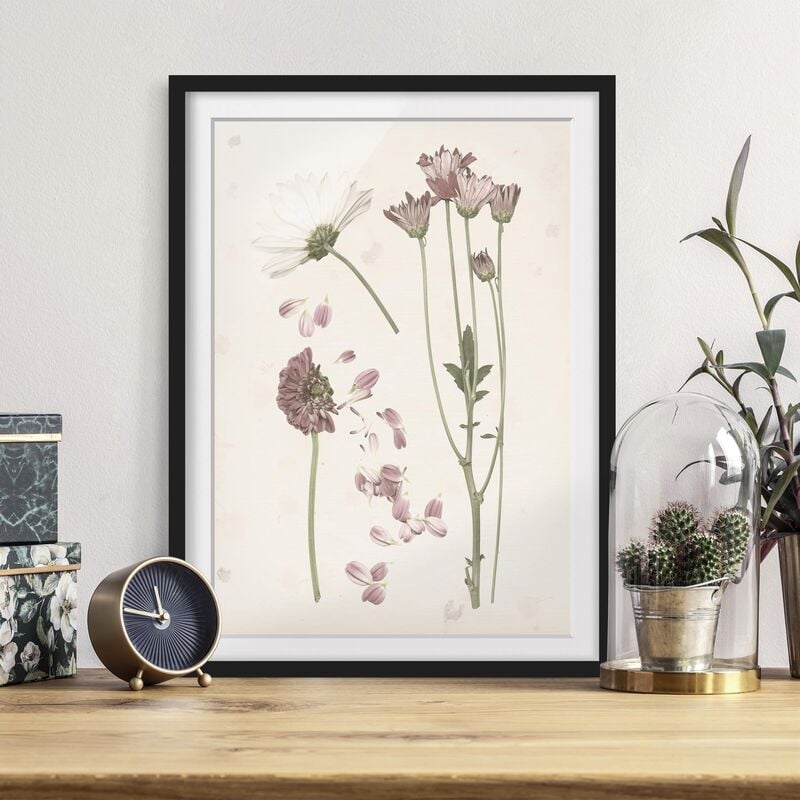 

Póster enmarcado - Herbarium In Rosa Ii Dimensión LxA: 55cm x 40cm, Marco: Negro