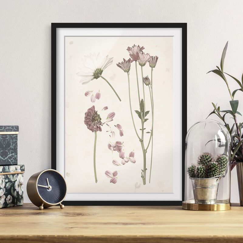

Póster enmarcado - Herbarium In Rosa Ii Dimensión LxA: 24cm x 18cm, Marco: Negro