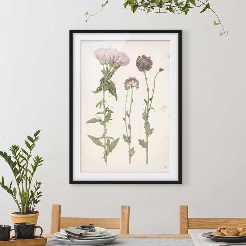 

Póster enmarcado - Herbarium In Rosa Iii Dimensión LxA: 70cm x 50cm, Marco: Negro