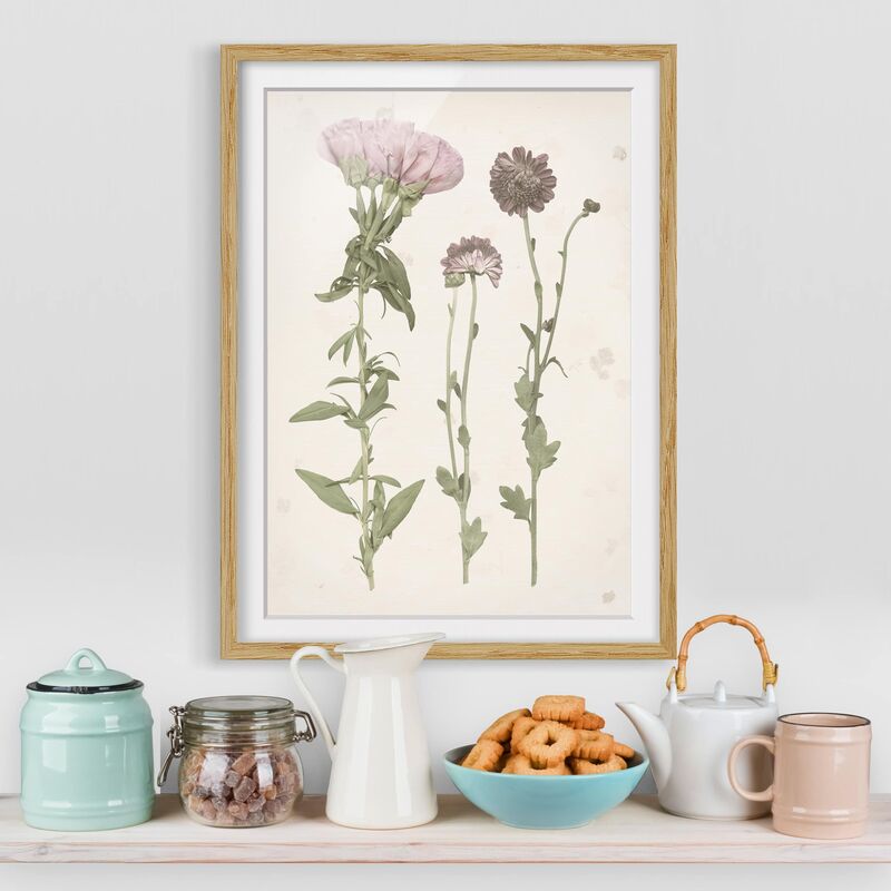 

Póster enmarcado - Herbarium In Rosa Iii Dimensión LxA: 40cm x 30cm, Marco: Roble