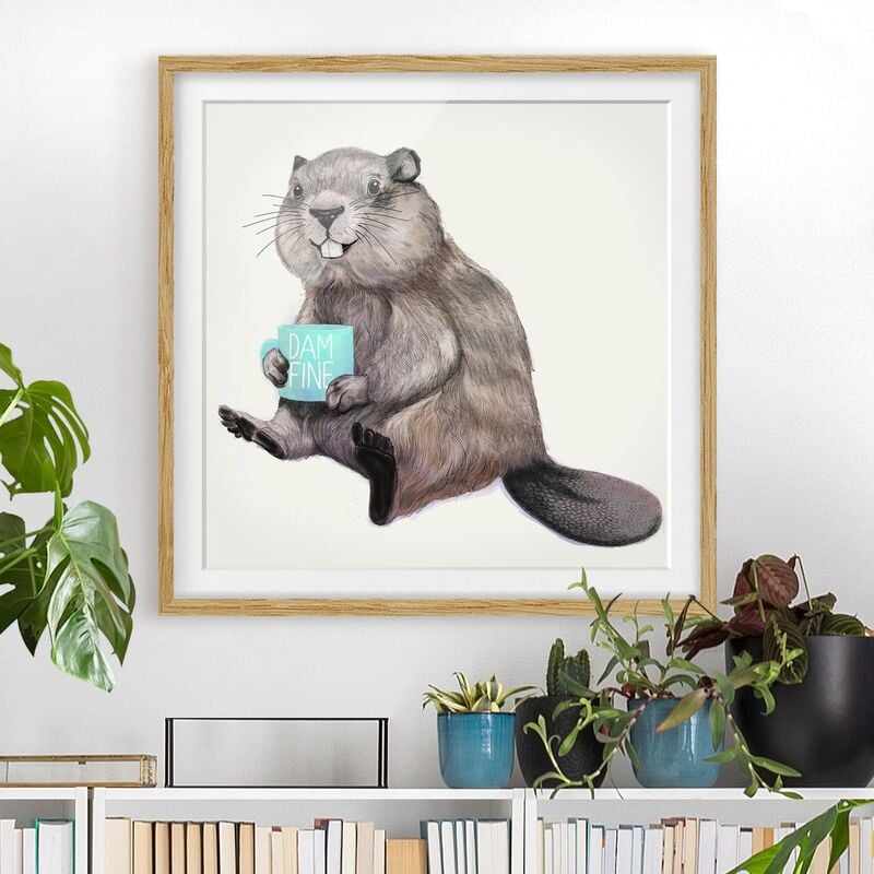 

Póster enmarcado - Illustrazione Beaver con tazza di caffè Dimensión LxA: 50cm x 50cm, Marco: Roble