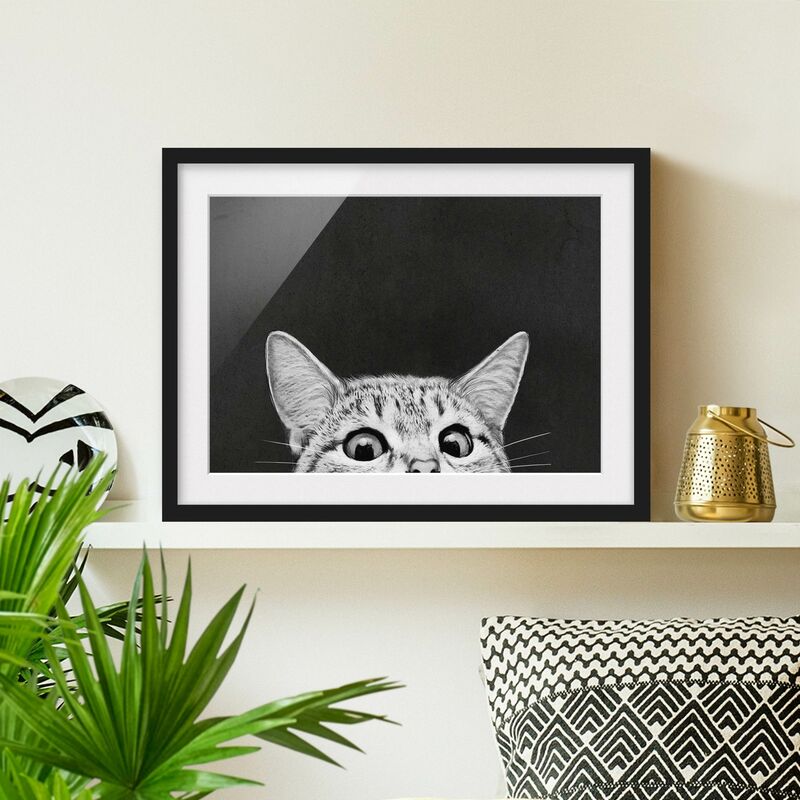 

Póster enmarcado - Illustrazione Gatto Bianco e nero Disegno Dimensión LxA: 40cm x 55cm, Marco: Negro