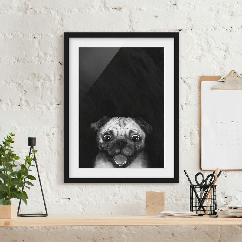 

Póster enmarcado - Illustrazione Pug Dog Pittura Su Bianco e nero Dimensión LxA: 40cm x 30cm, Marco: Negro