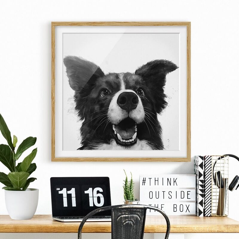 

Póster enmarcado - Illustrazione pittura Cane Border Collie Bianco e nero Dimensión LxA: 50cm x 50cm, Marco: Roble