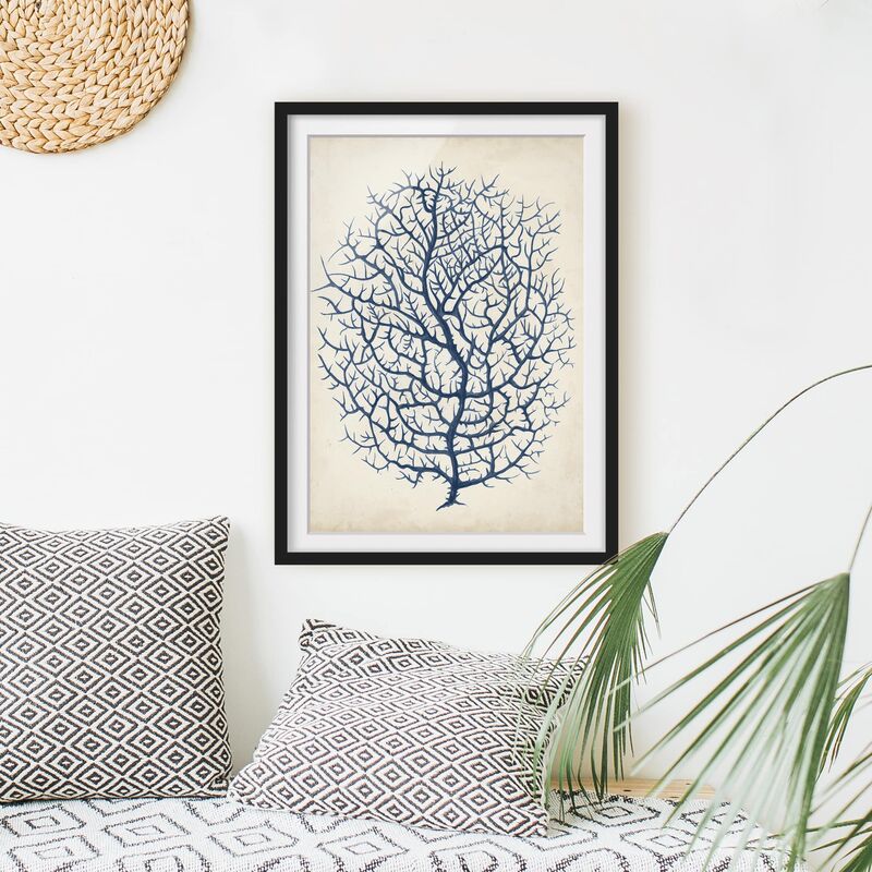 

Póster enmarcado - Indigo Coral I Dimensión LxA: 24cm x 18cm, Marco: Negro