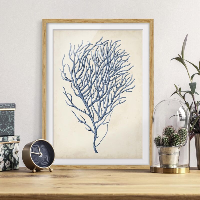

Póster enmarcado - Indigo Coral Iii Dimensión LxA: 55cm x 40cm, Marco: Roble