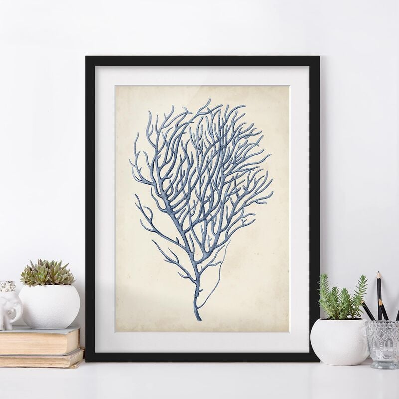 

Póster enmarcado - Indigo Coral Iii Dimensión LxA: 100cm x 70cm, Marco: Negro
