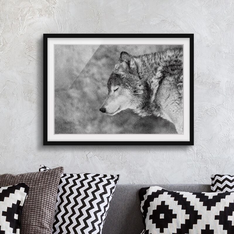 

Póster enmarcado - inverno Lupo Dimensión LxA: 18cm x 24cm, Marco: Negro