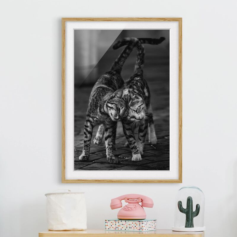 

Póster enmarcado - kitten Amicizia Dimensión LxA: 100cm x 70cm, Marco: Roble