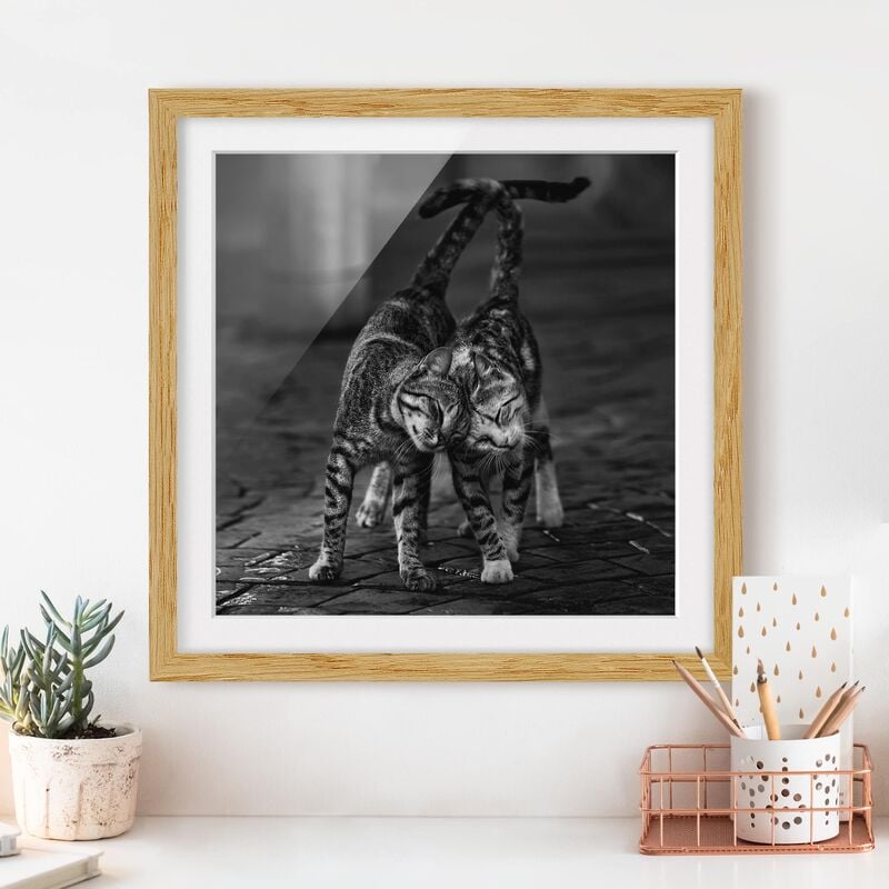 

Póster enmarcado - kitten Amicizia Dimensión LxA: 20cm x 20cm, Marco: Roble