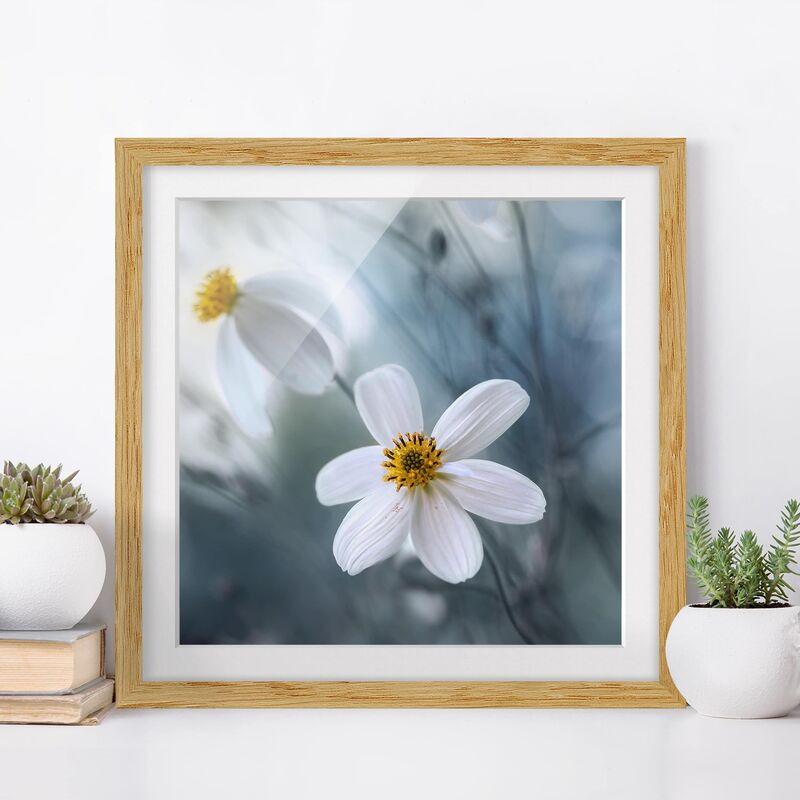 

Póster enmarcado - Kosmeen In Pastel Dimensión LxA: 70cm x 70cm, Marco: Roble