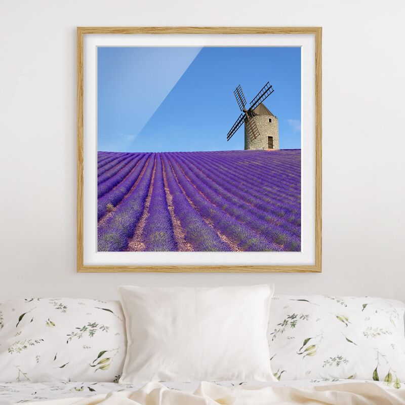 

Póster enmarcado - Lavender Fragrance In Provence Dimensión LxA: 70cm x 70cm, Marco: Roble