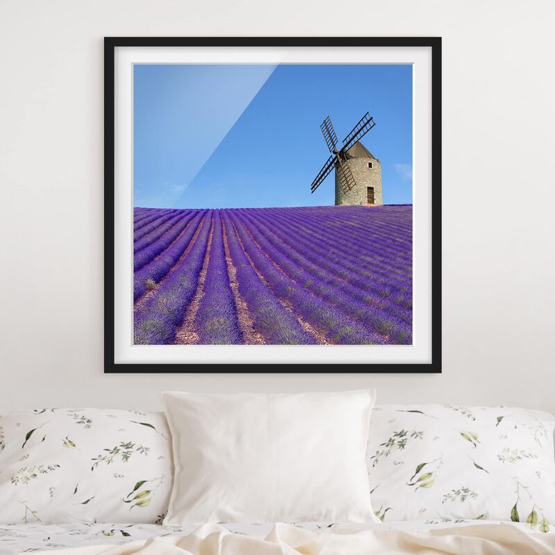 

Póster enmarcado - Lavender Fragrance In Provence Dimensión LxA: 30cm x 30cm, Marco: Negro