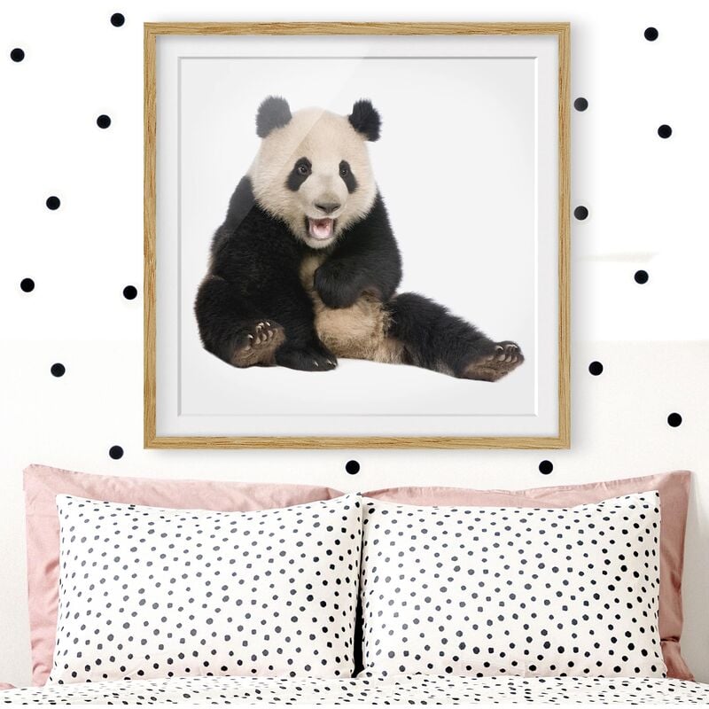 

Póster enmarcado - Laughing Panda Dimensión LxA: 20cm x 20cm, Marco: Roble