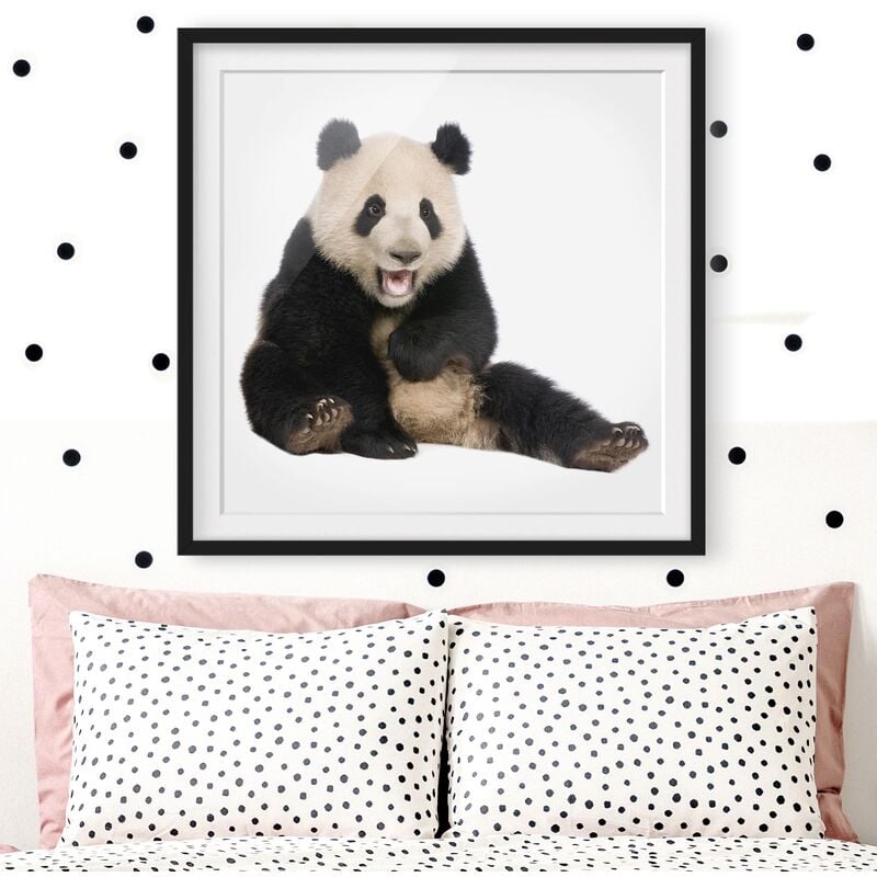 

Póster enmarcado - Laughing Panda Dimensión LxA: 50cm x 50cm, Marco: Negro