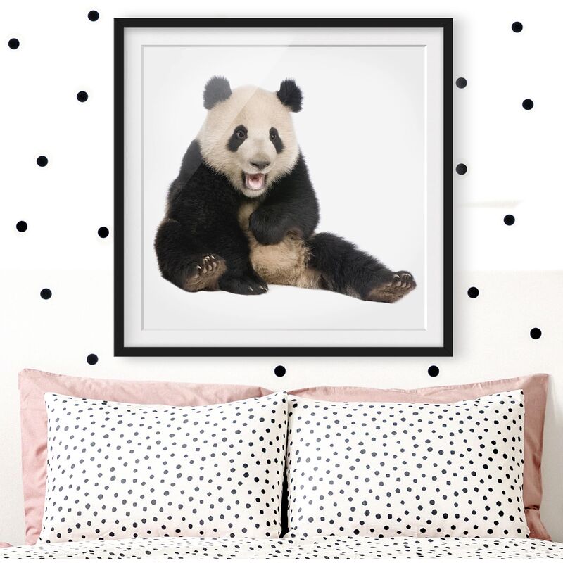 

Póster enmarcado - Laughing Panda Dimensión LxA: 70cm x 70cm, Marco: Negro