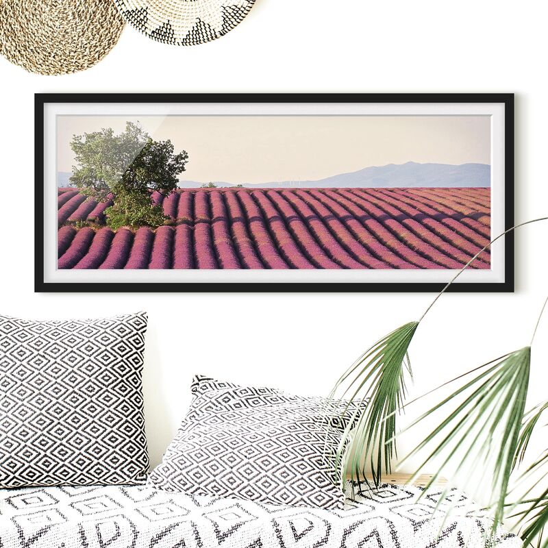 

Póster enmarcado - Lavanda Dimensión LxA: 40cm x 100cm, Marco: Negro