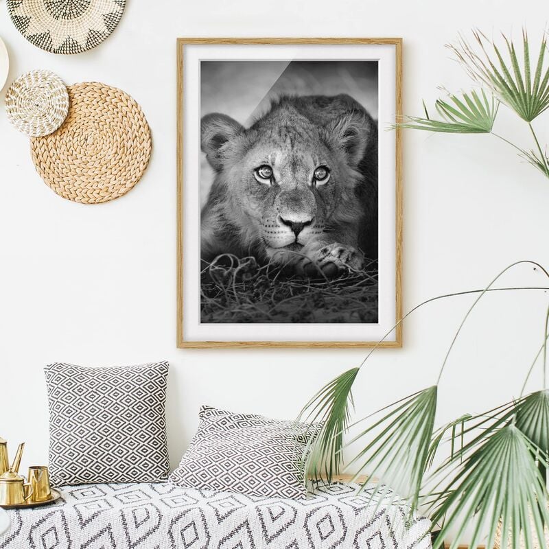 

Póster enmarcado - Lurking Lionbaby Dimensión LxA: 55cm x 40cm, Marco: Roble