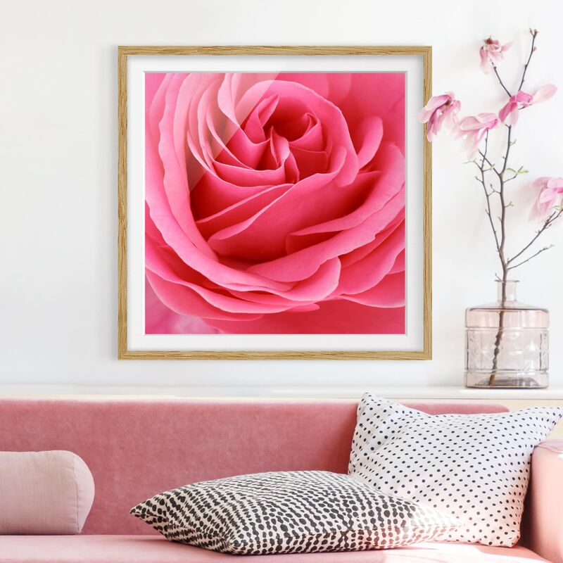 

Póster enmarcado - Lustful Pink Rose Dimensión LxA: 50cm x 50cm, Marco: Roble