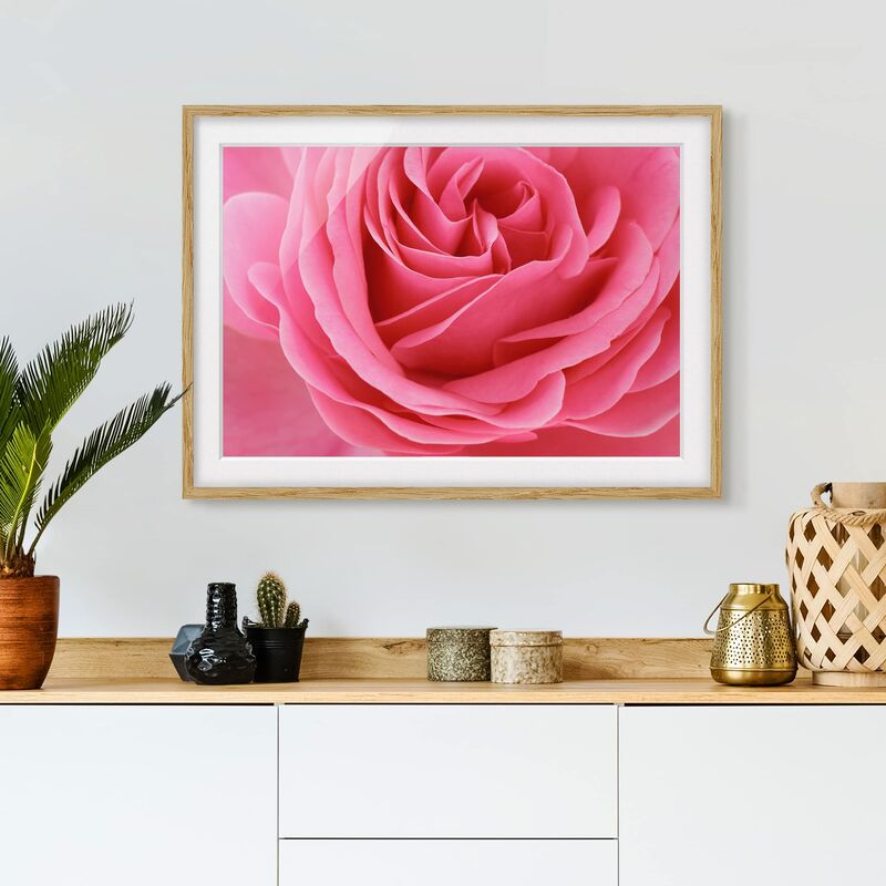 

Póster enmarcado - Lustful Pink Rose Dimensión LxA: 18cm x 24cm, Marco: Roble