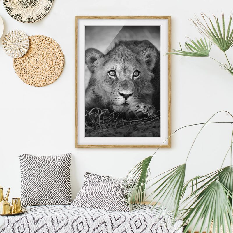 

Póster enmarcado - Lurking Lionbaby Dimensión LxA: 24cm x 18cm, Marco: Roble