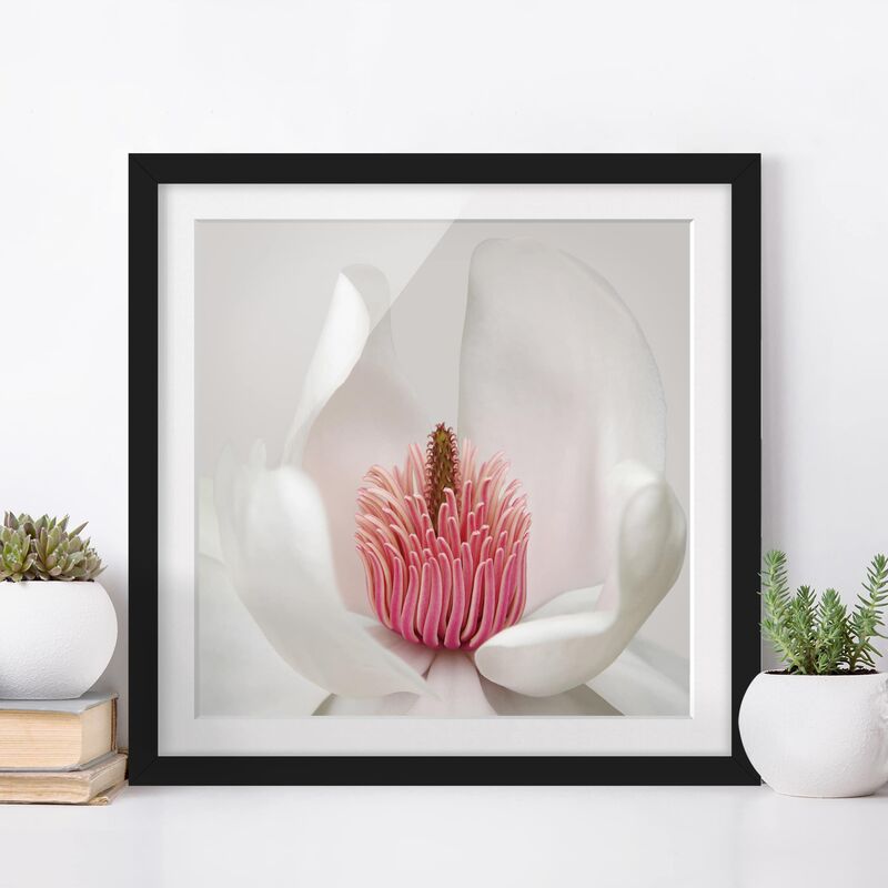 

Póster enmarcado - Magnolia In Pink Dimensión LxA: 50cm x 50cm, Marco: Negro