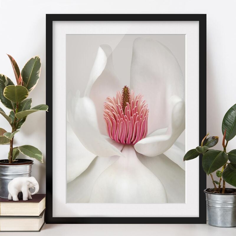 

Póster enmarcado - Magnolia In Pink Dimensión LxA: 100cm x 70cm, Marco: Negro