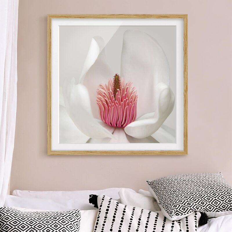 

Póster enmarcado - Magnolia In Pink Dimensión LxA: 20cm x 20cm, Marco: Roble