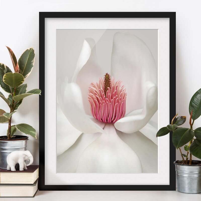 

Póster enmarcado - Magnolia In Pink Dimensión LxA: 24cm x 18cm, Marco: Negro