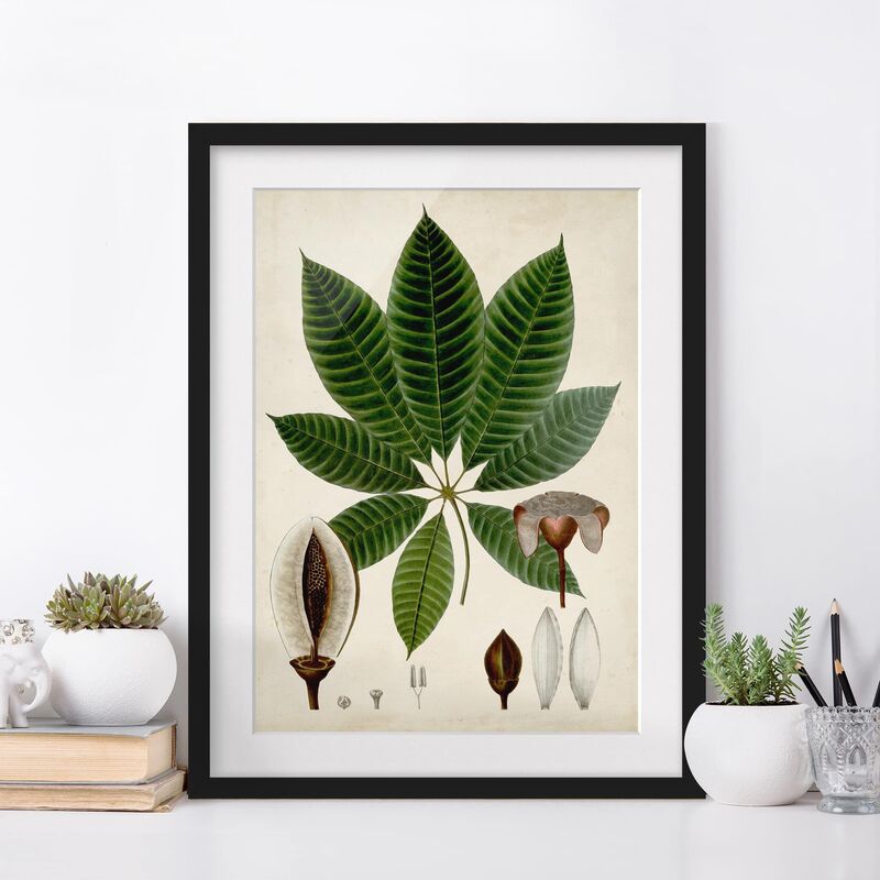 

Póster enmarcado - Manifesto Deciduo Vii Dimensión LxA: 24cm x 18cm, Marco: Negro