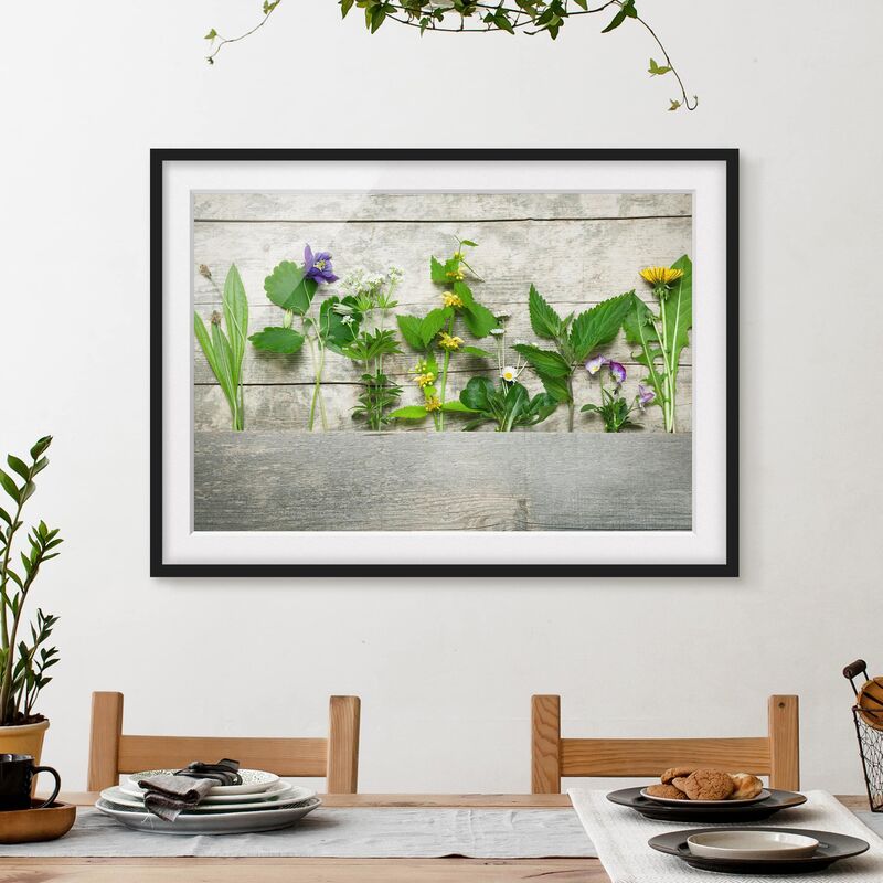 

Póster enmarcado - Medicinal And Wild Herbs Dimensión LxA: 40cm x 55cm, Marco: Negro
